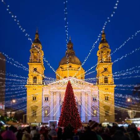 Fusion In Downtown *